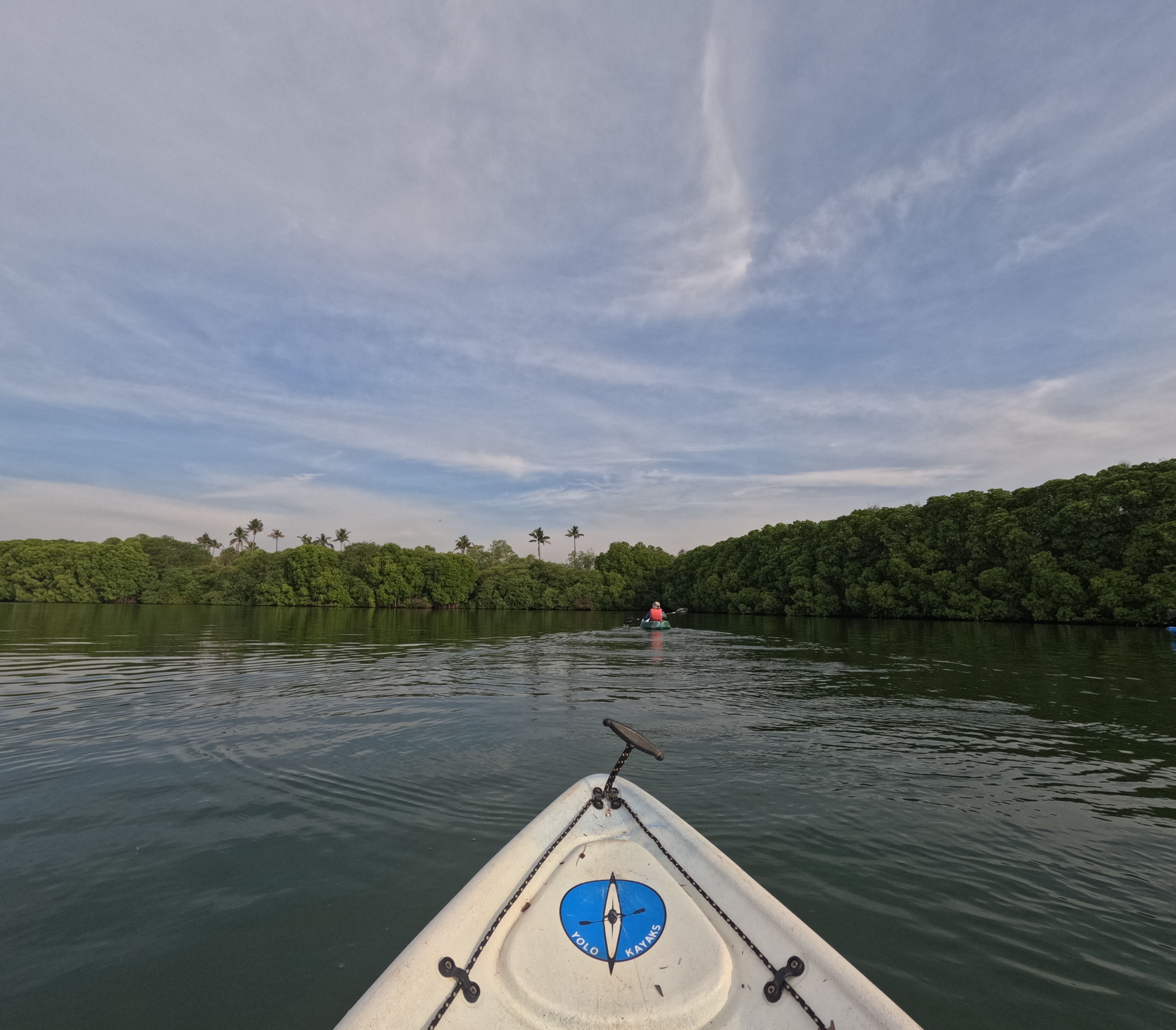 Experience a serene kayaking journey through lush backwaters in Varkala, Kerala, surrounded by palm 