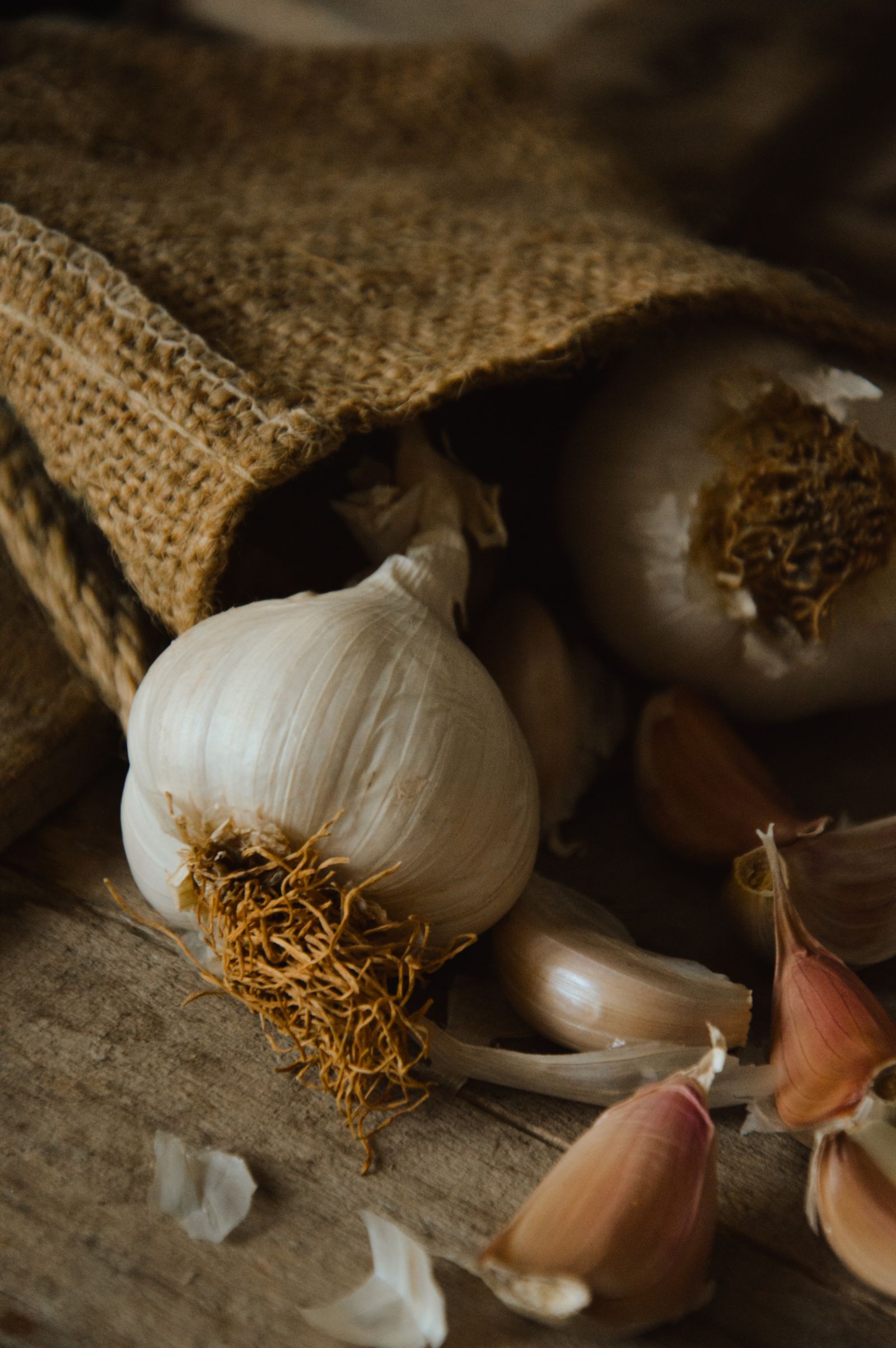 Garlic