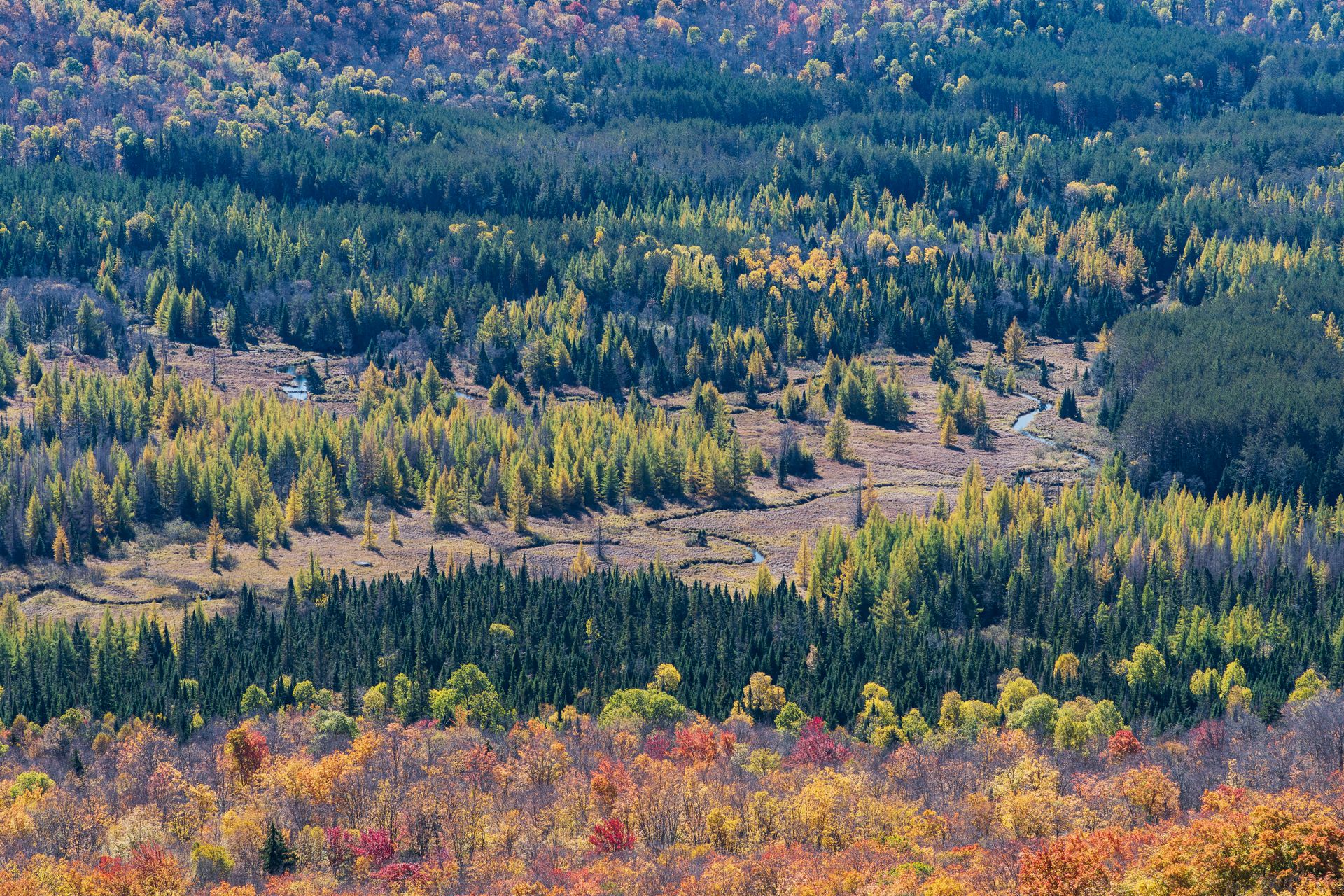 Vibrant autumn landscape view from Mt Van Hoevenberg in Adirondack Park.