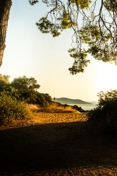 Stunning sunset view of a path by the beach with pine trees in Greece, capturing the beauty of nature.