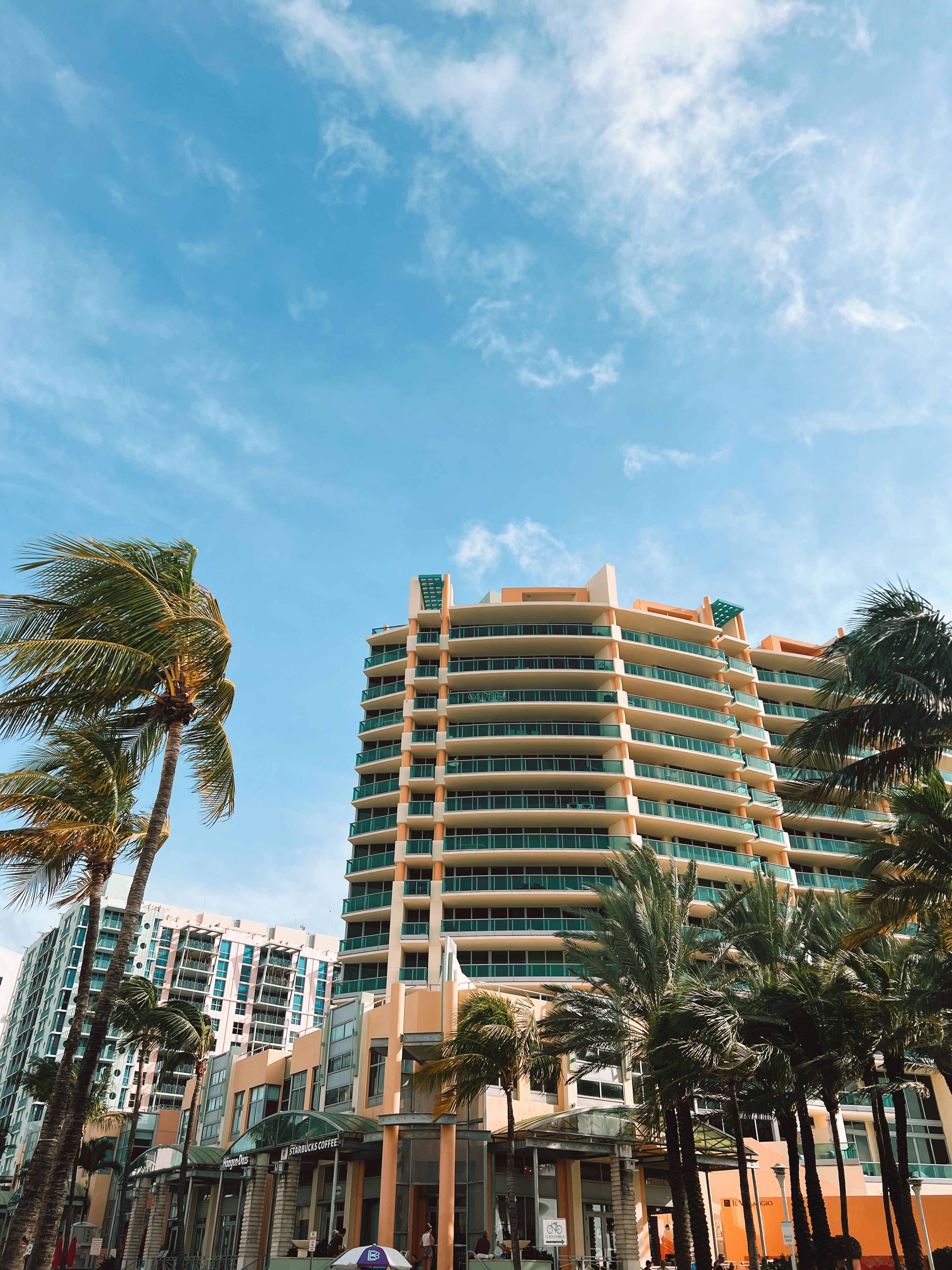 Curated visual reference: Tropical High Rise Building With Palm Trees Photo Inspiration
