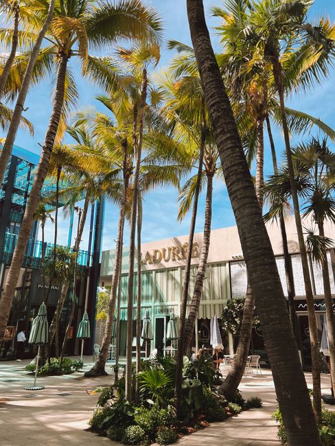Photo by Vincent Rivaud A vibrant outdoor shopping courtyard with palm trees and shops under a sunny blue sky.