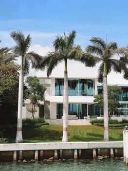 Contemporary villa by the water surrounded by tall palm trees.