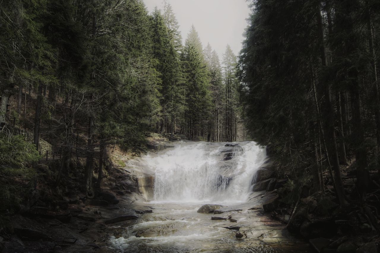 a tranquil waterfall cascades through a lush forest dense with towerin