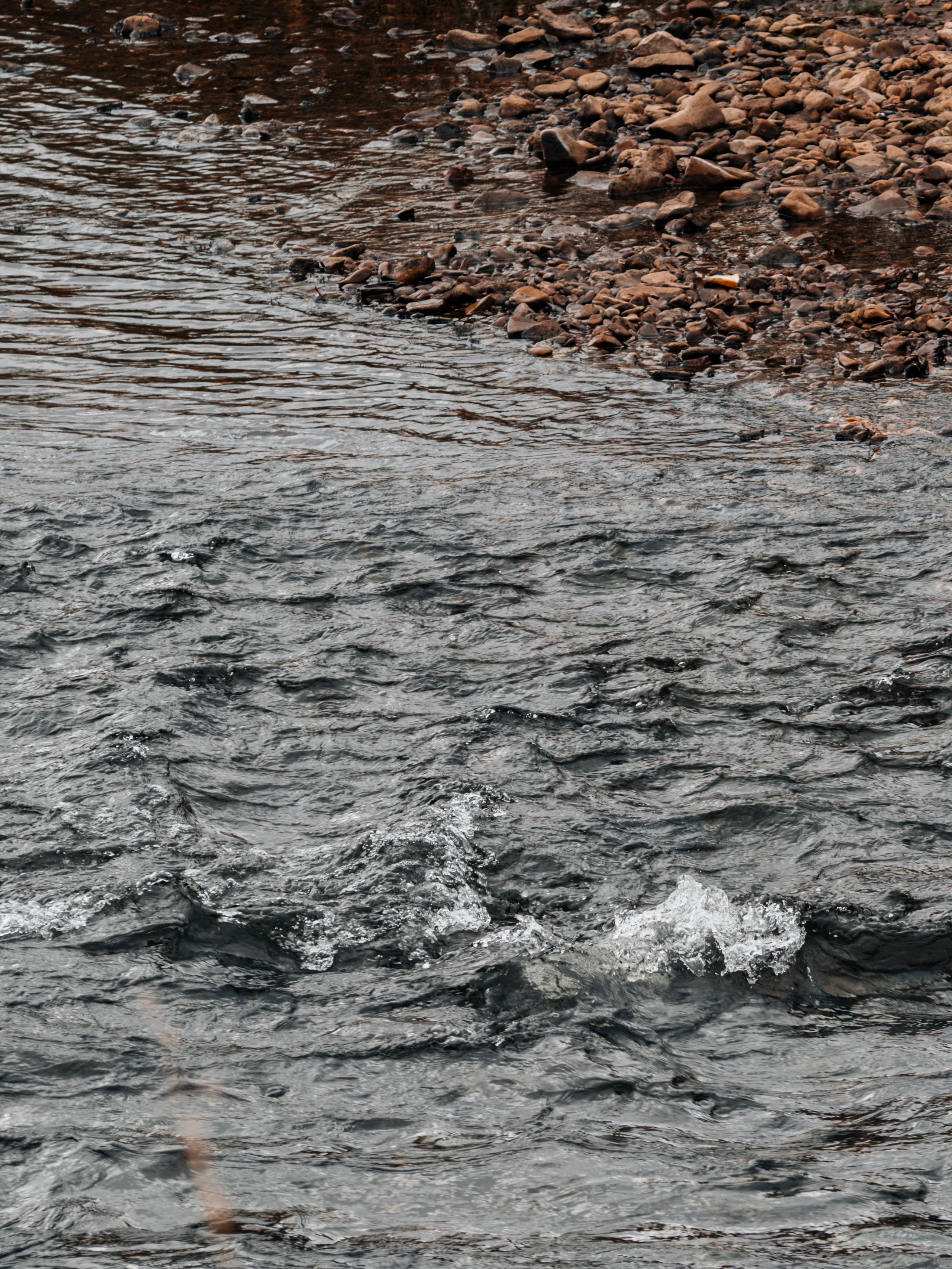 Rippling River Adjacent to Rocky Riverbank · Free Stock Photo