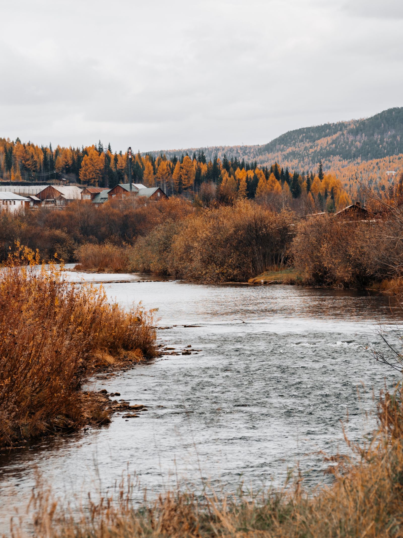 Cochrane Real Estate Market Update