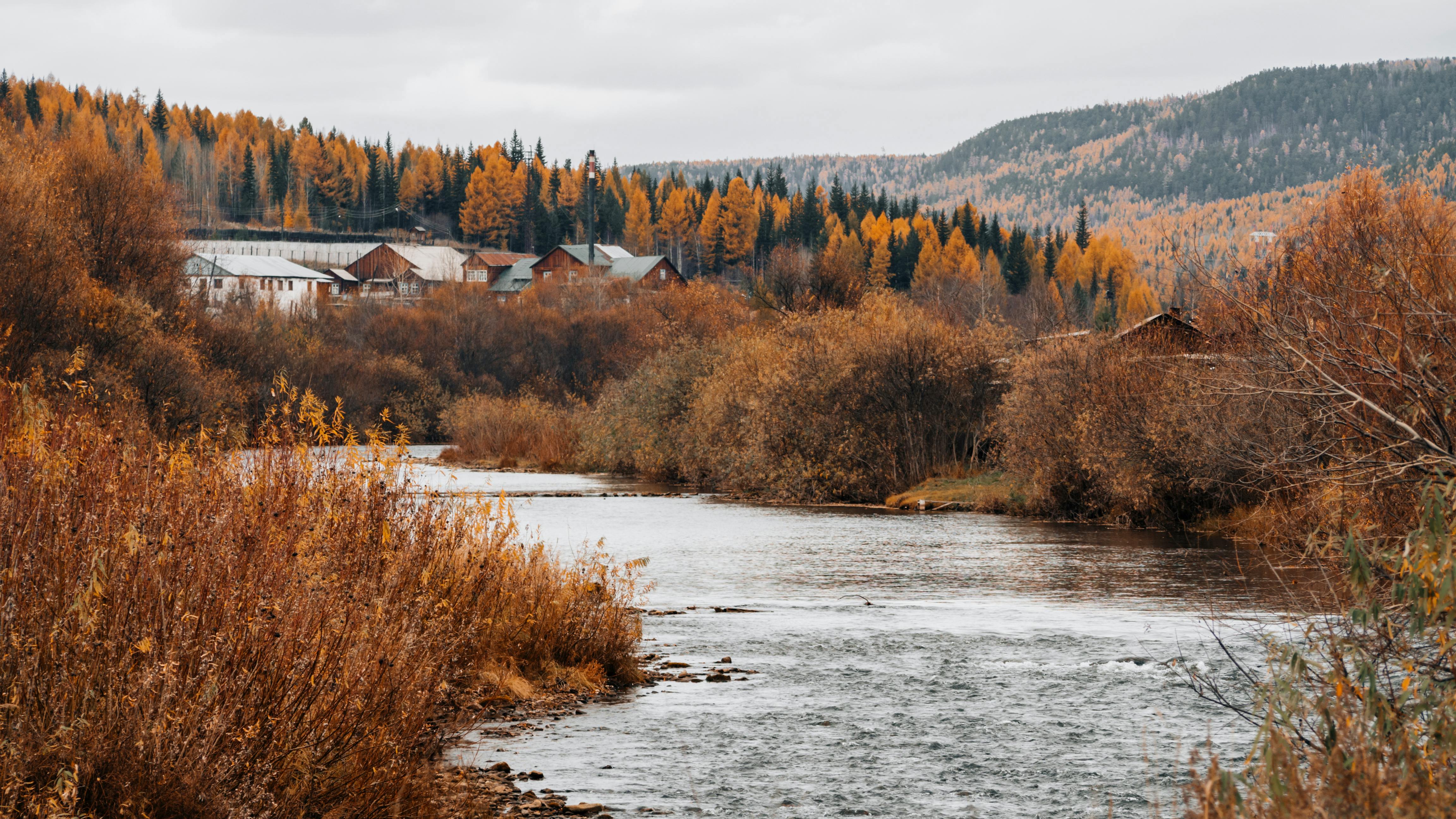 Trannies ogizdagi videolar onlayn