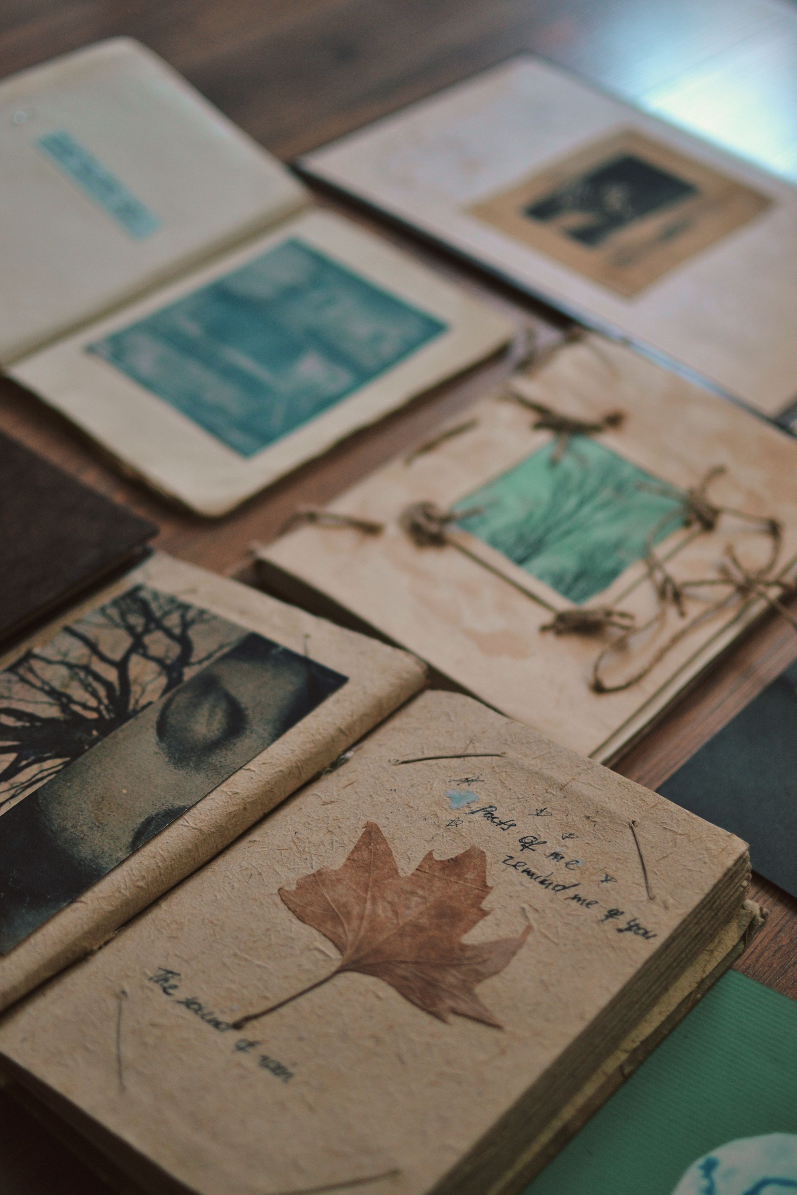 Vintage Art Books and Autumn Themes on Wooden Surface · Free Stock Photo