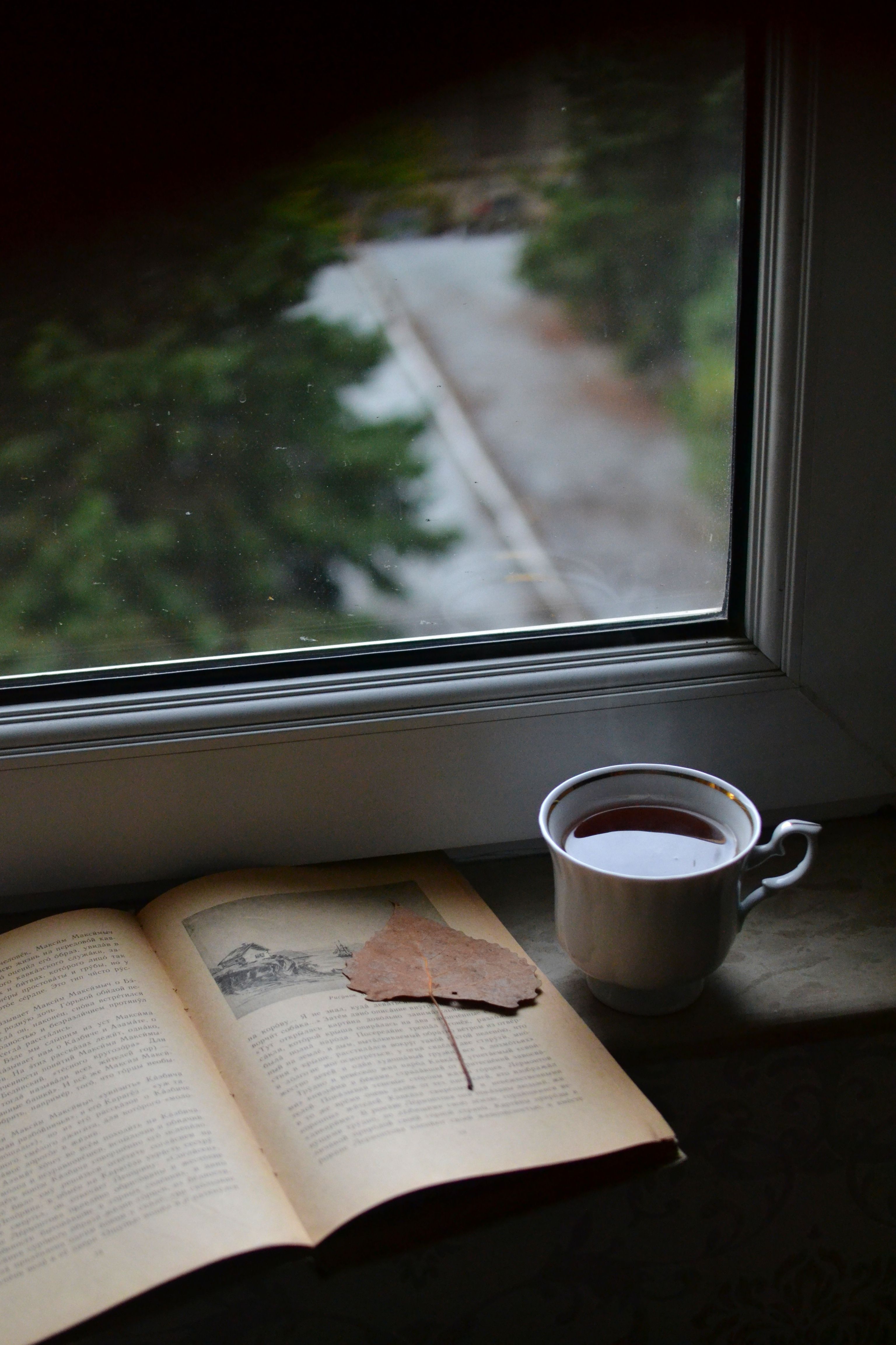 Cozy Autumn Reading with Tea by the Window · Free Stock Photo