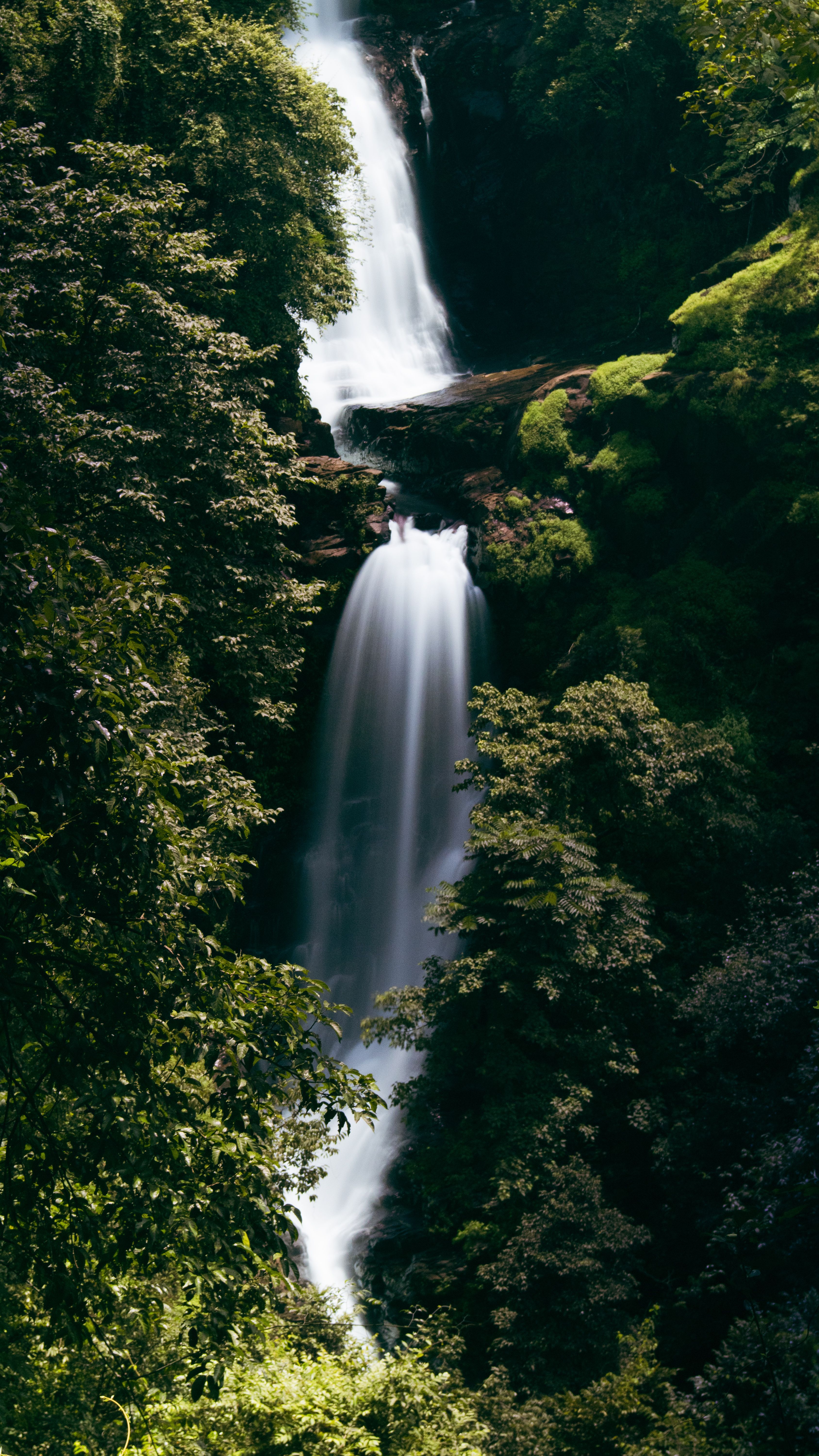 Majestic Waterfall Cascading Through Lush Forest · Free Stock Photo