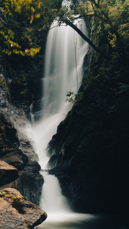 Free Serene waterfall cascades through verdant forest creating natural tranquility. Stock Photo