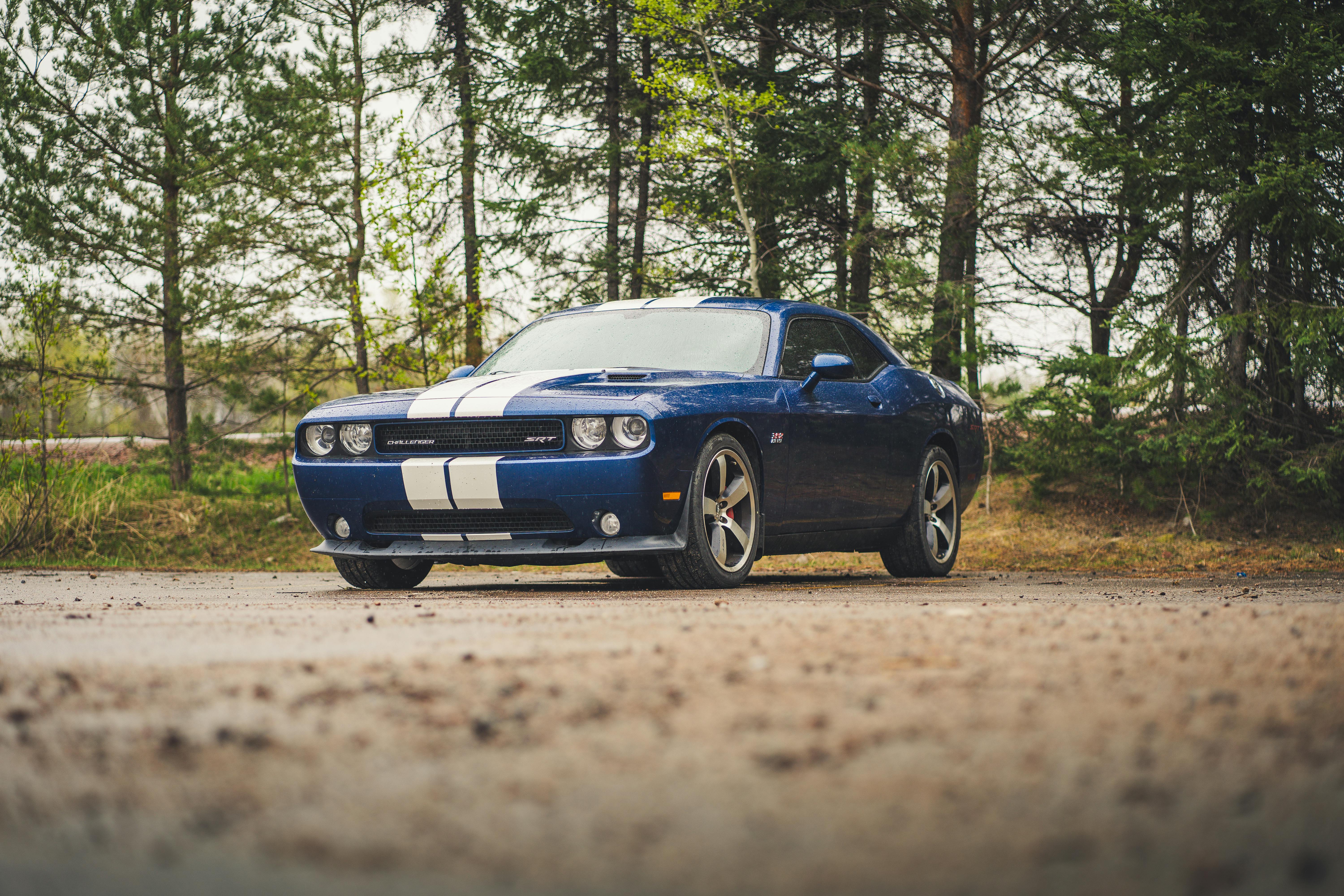 Unleashing Your Inner Charm and Charisma