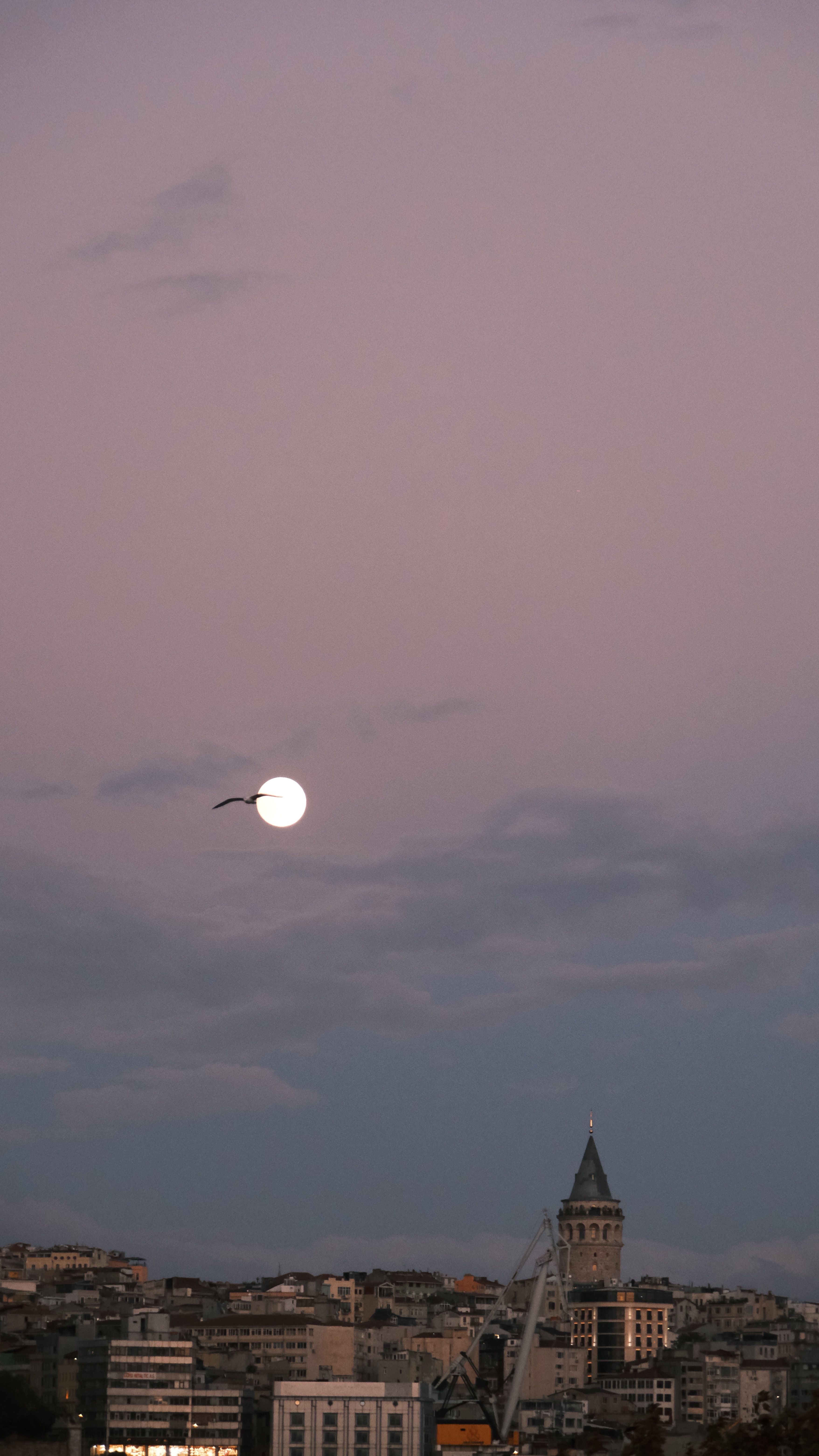 Galata Tower with Full Moon and Bird in Twilight · Free Stock Photo