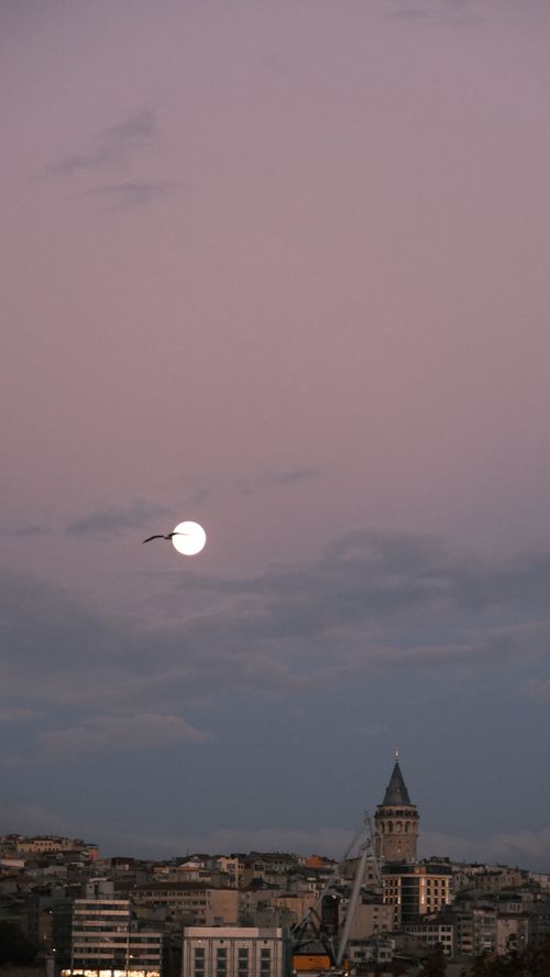 Free A serene view of Galata Tower at twilight with a full moon and bird soaring nearby. Stock Photo