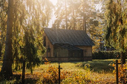 Free Charming rustic cabin surrounded by a sunlit forest in autumn, offering a serene and natural escape. Stock Photo