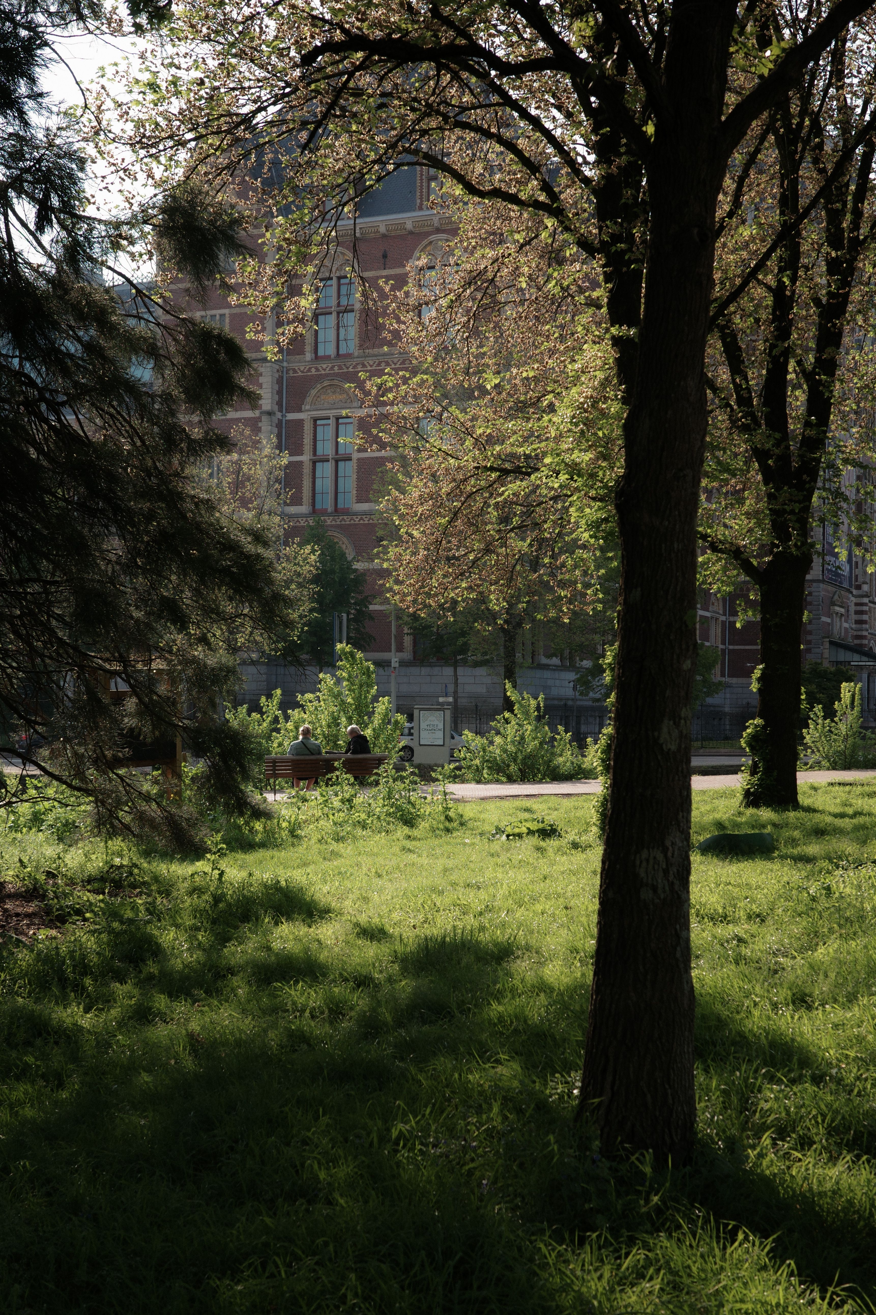 Tranquil park in Amsterdam with lush greenery and historic building.