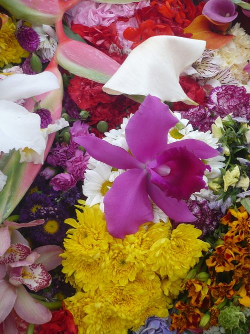 Free Flowers Stock Photo
