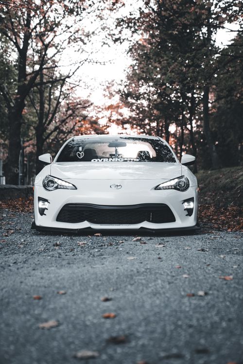 Free Front view of a sleek white sports car parked on a leafy autumn road, surrounded by tall trees. Stock Photo