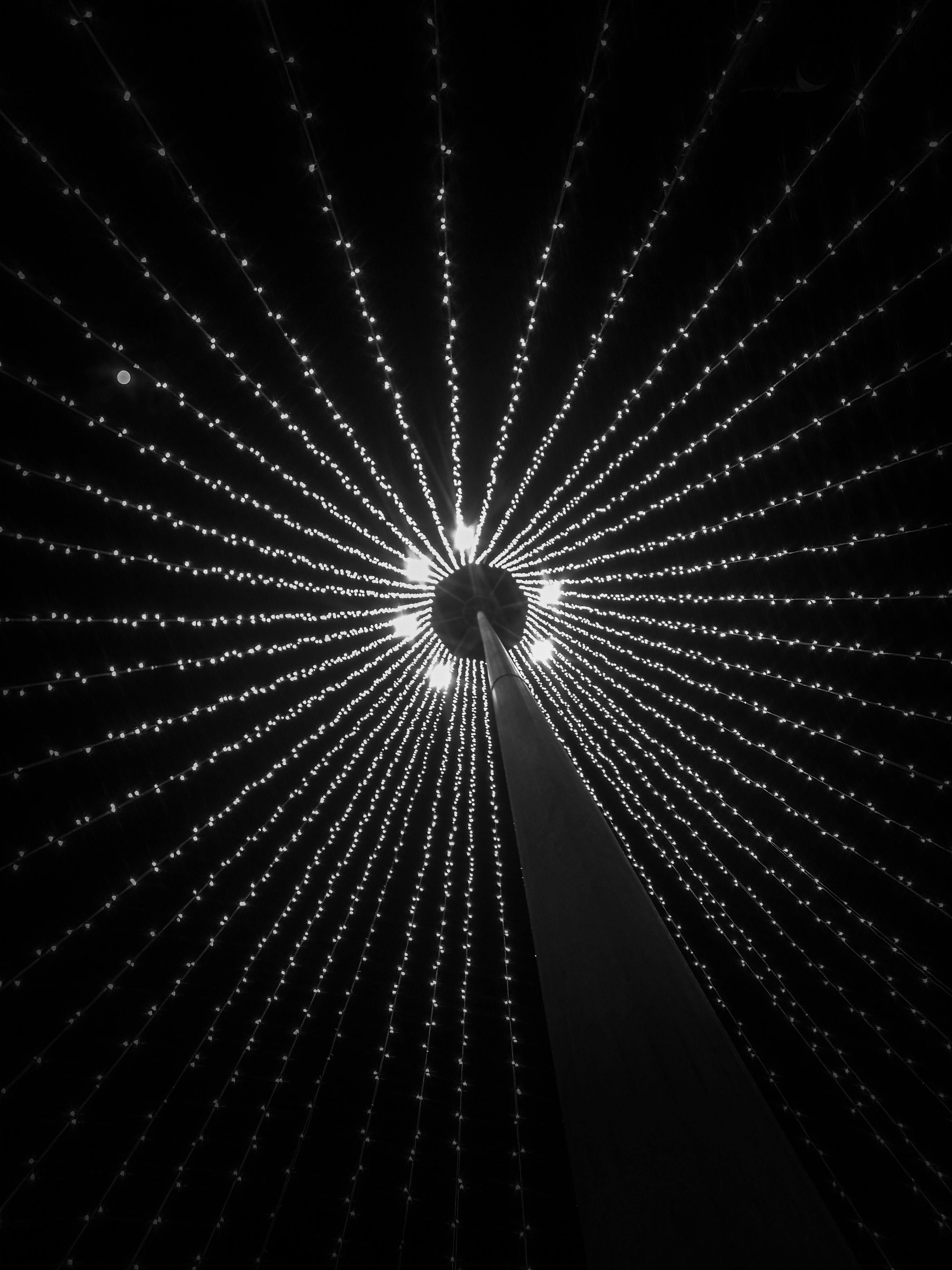 grátis Padrão De Luz Preto E Branco Visto De Baixo Foto profissional