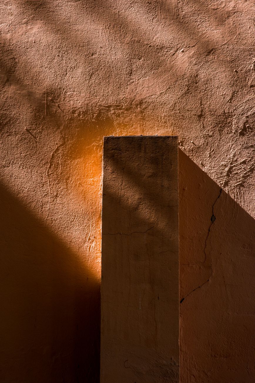 Shadow Play & Studio Botanicals