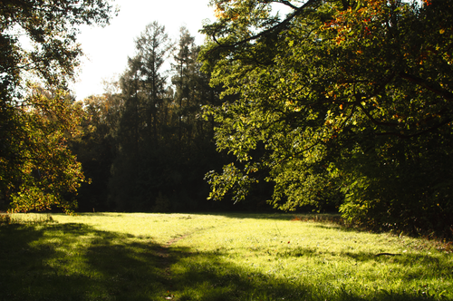 Free Discover the tranquil beauty of autumn in a sunlit city park with colorful foliage and a lush landscape. Stock Photo