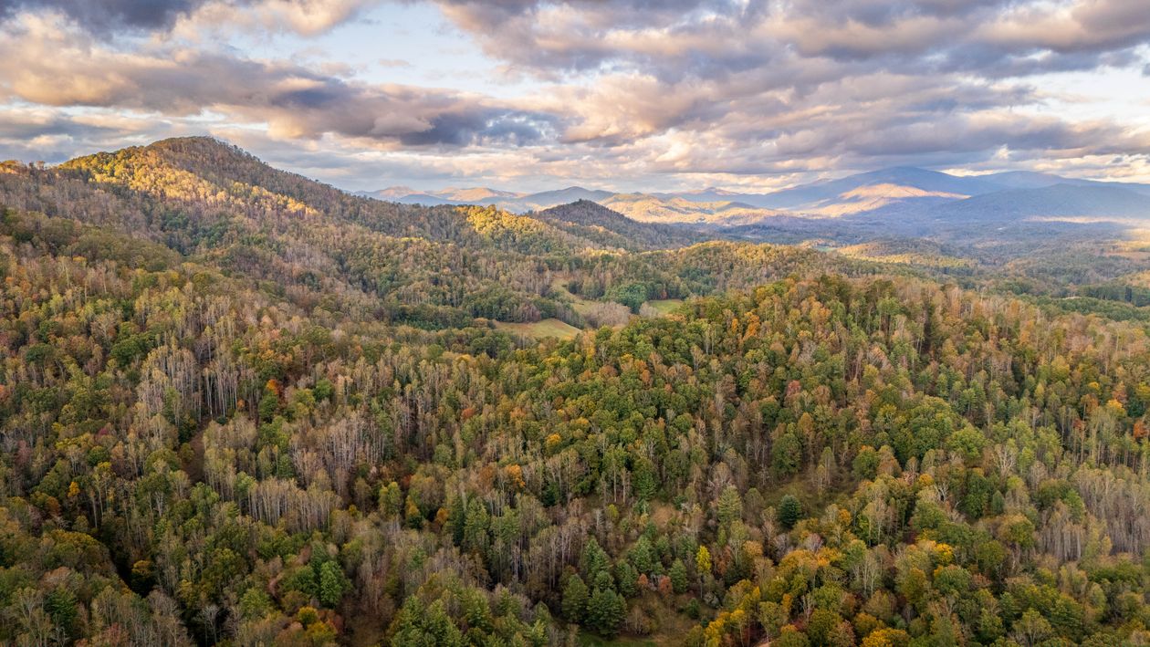 Panoramic view of the Susquehanna River valley from Hawk Rock Overlook