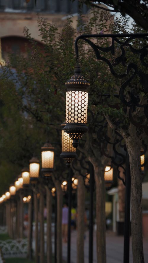 Free A row of ornate street lanterns glowing warmly at dusk lining a tree-lined promenade. Stock Photo