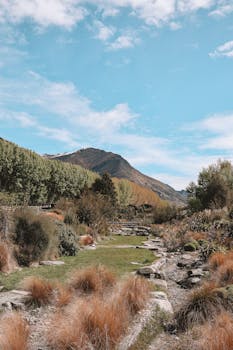 Scenic view of Queenstown's natural landscape with a hiking trail and mountains.