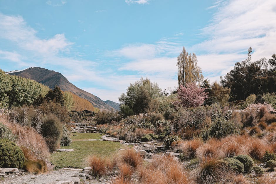 Discovering the hidden gems of the Alps