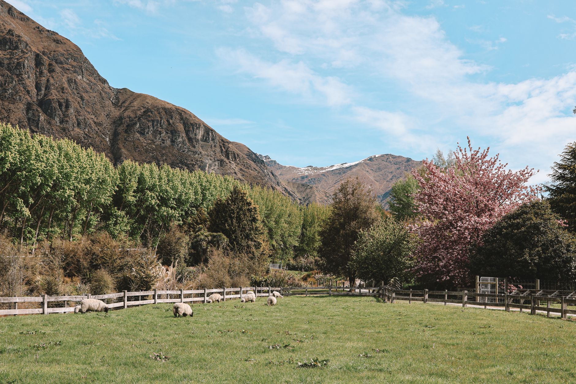 New Zealand — Queenstown, New Zealand