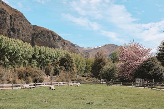 Queenstown, New Zealand photo 10