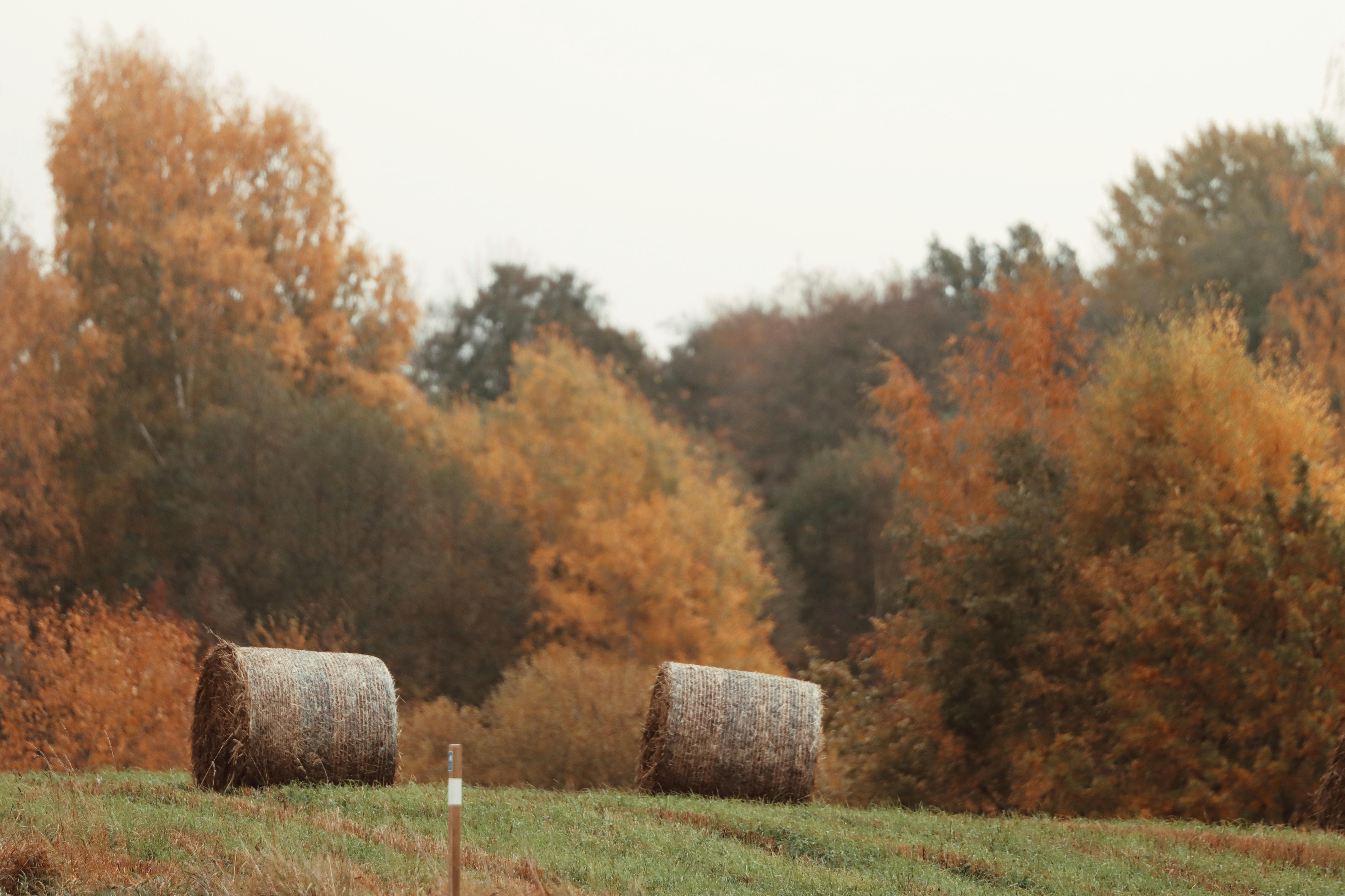 scenic autumn landscape in axamo sweden