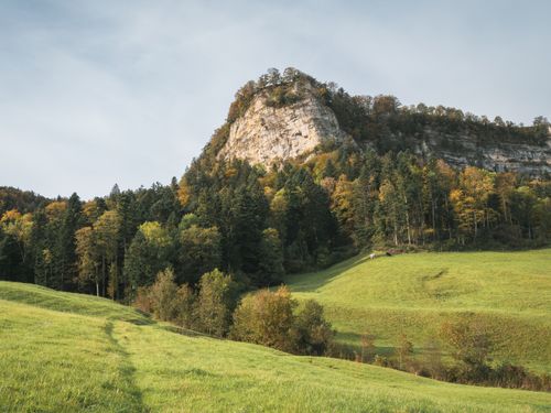 Free A picturesque view of a hill surrounded by lush forests and green meadows in autumn. Stock Photo