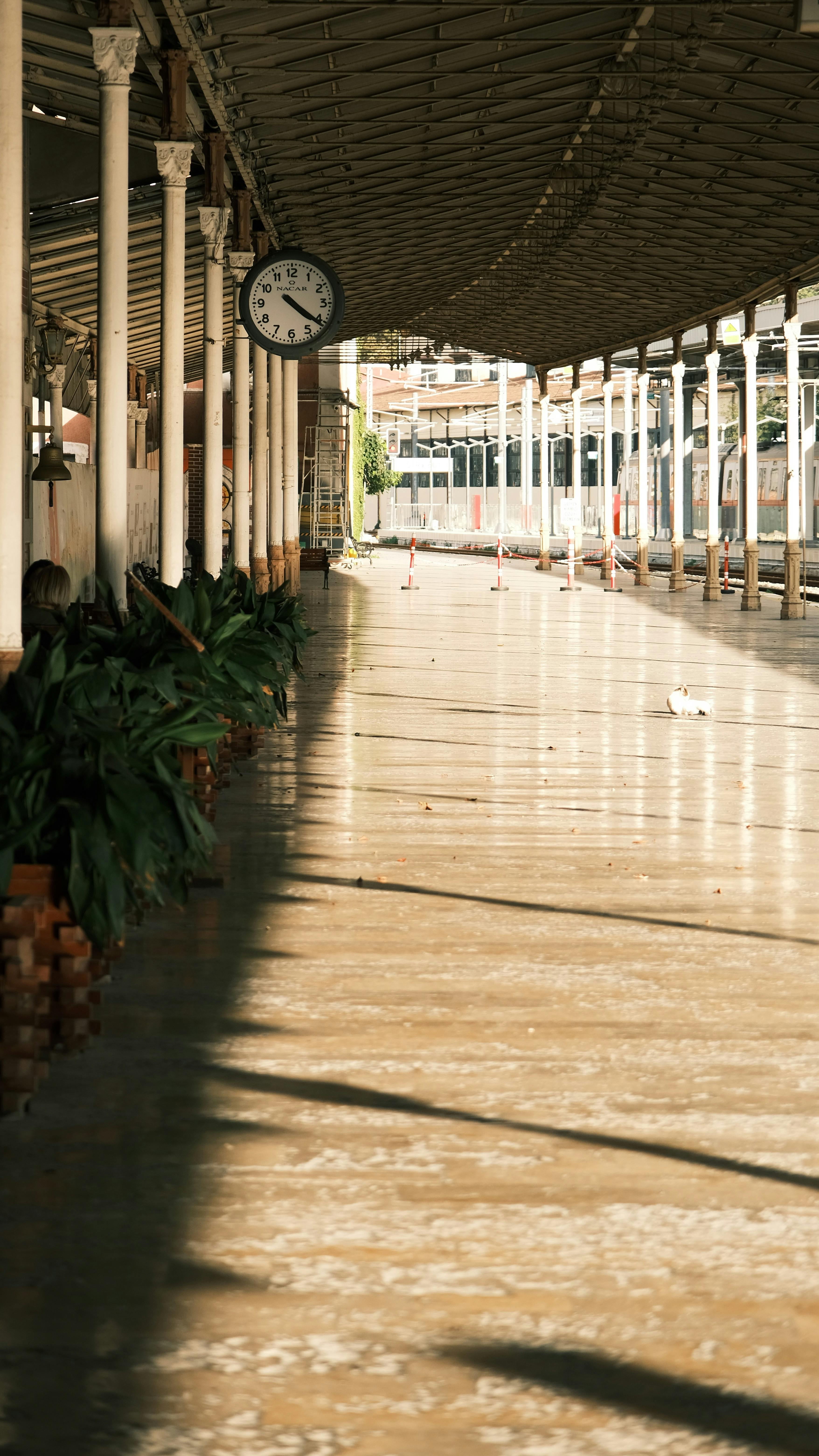 7 Must-See Architectural Highlights at Redland Railway Station: A Visual Journey Through Time