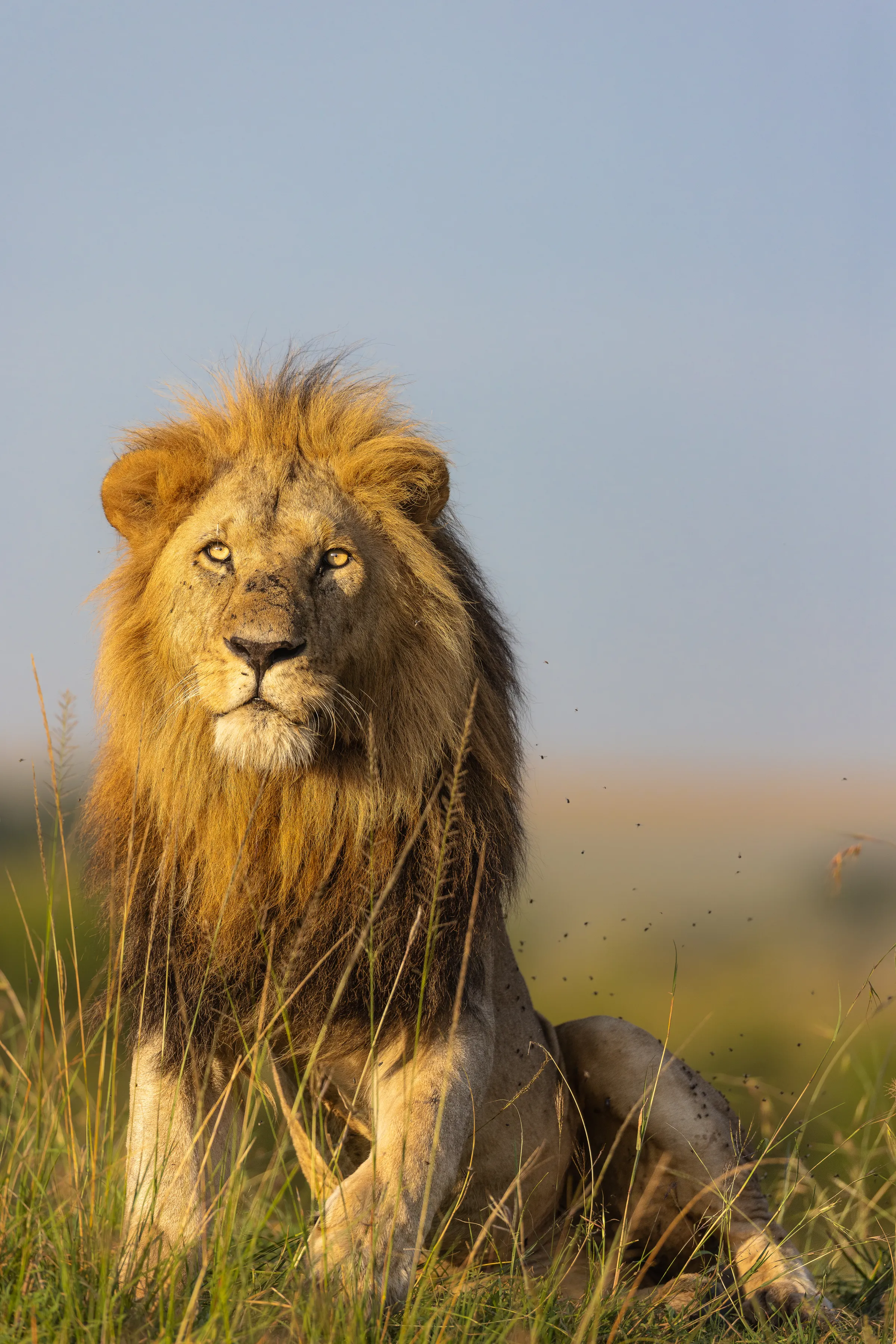 Explore Kenya in Style