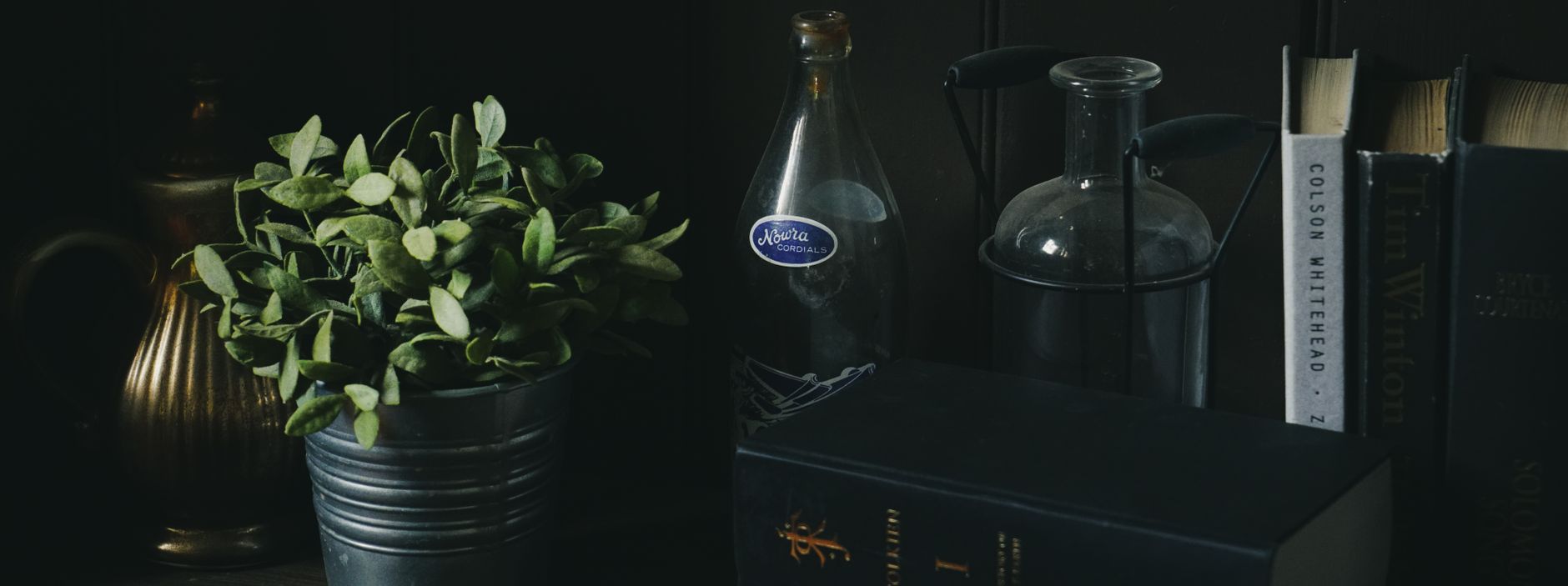 Fenbendazole protocol book — A cozy indoor setting featuring vintage glass bottles, books, and a potted plant.