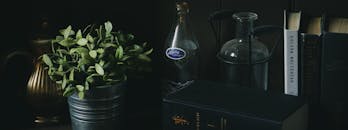 室内环境舒适，配有老式玻璃瓶、书籍和盆栽植物