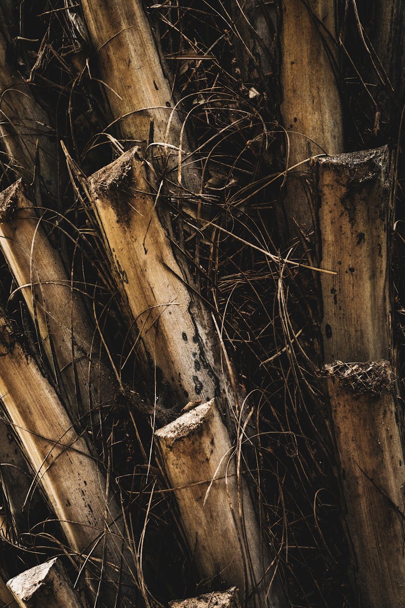 集团总部制度管理平台中查看文档比对视图的场景