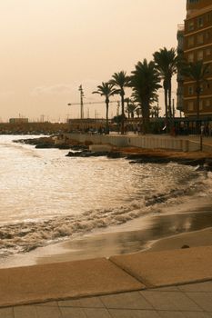 A serene beach with palm trees at sunset, perfect for relaxation and travel themes.