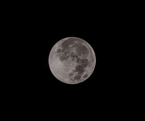 Free A detailed photograph of the full moon highlighted against the dark night sky. Stock Photo