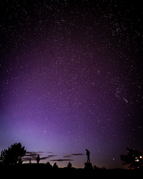 Silhouette of Man Standing on Wood Stump Under Starry Sky