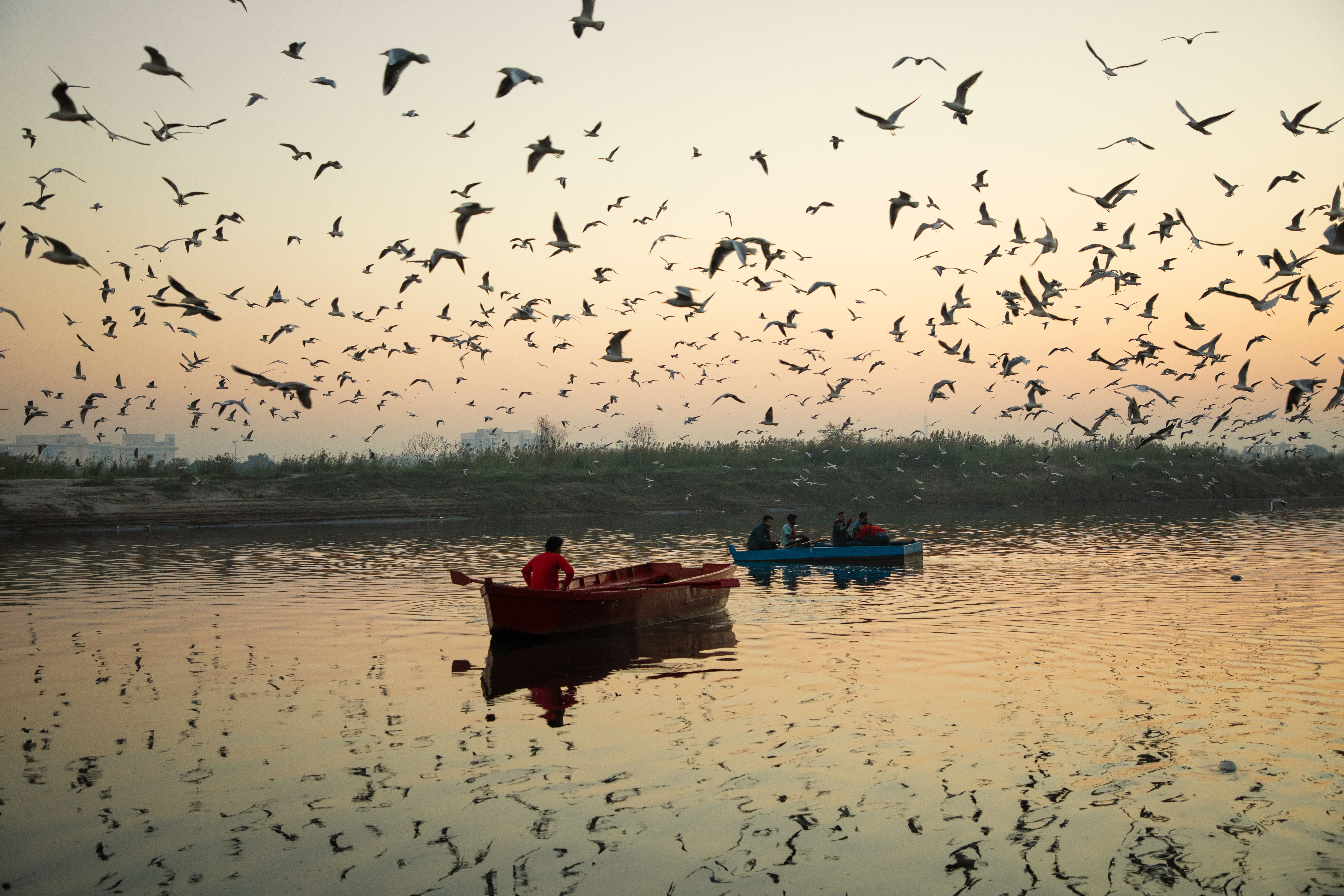 Escape to Damdama Lake and Sohna