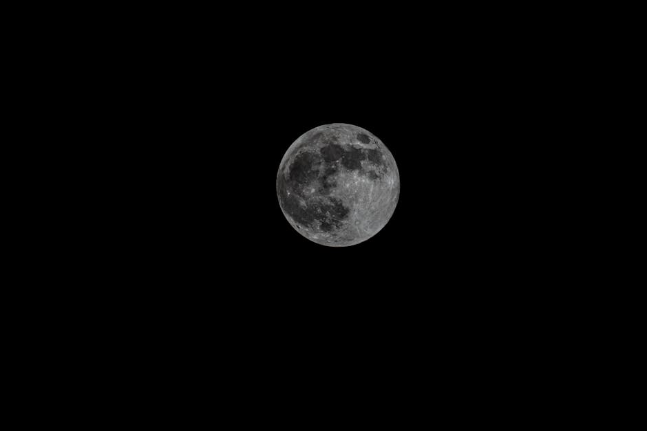Unforgettable Rendezvous Hidden Beneath the Stars