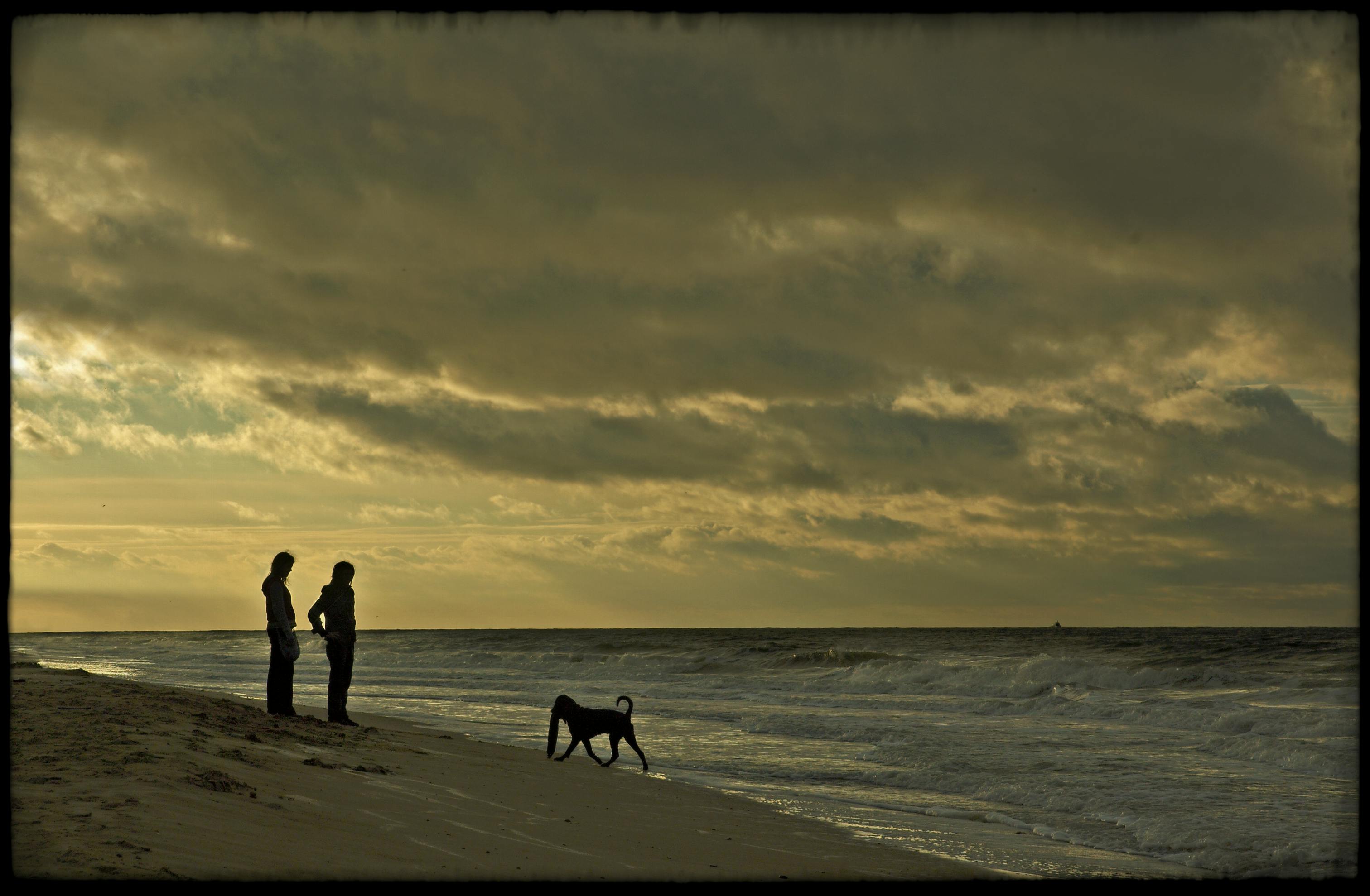 Free Silhouette of two people and a dog on Ostend beach during a dramatic sunset. Stock Photo