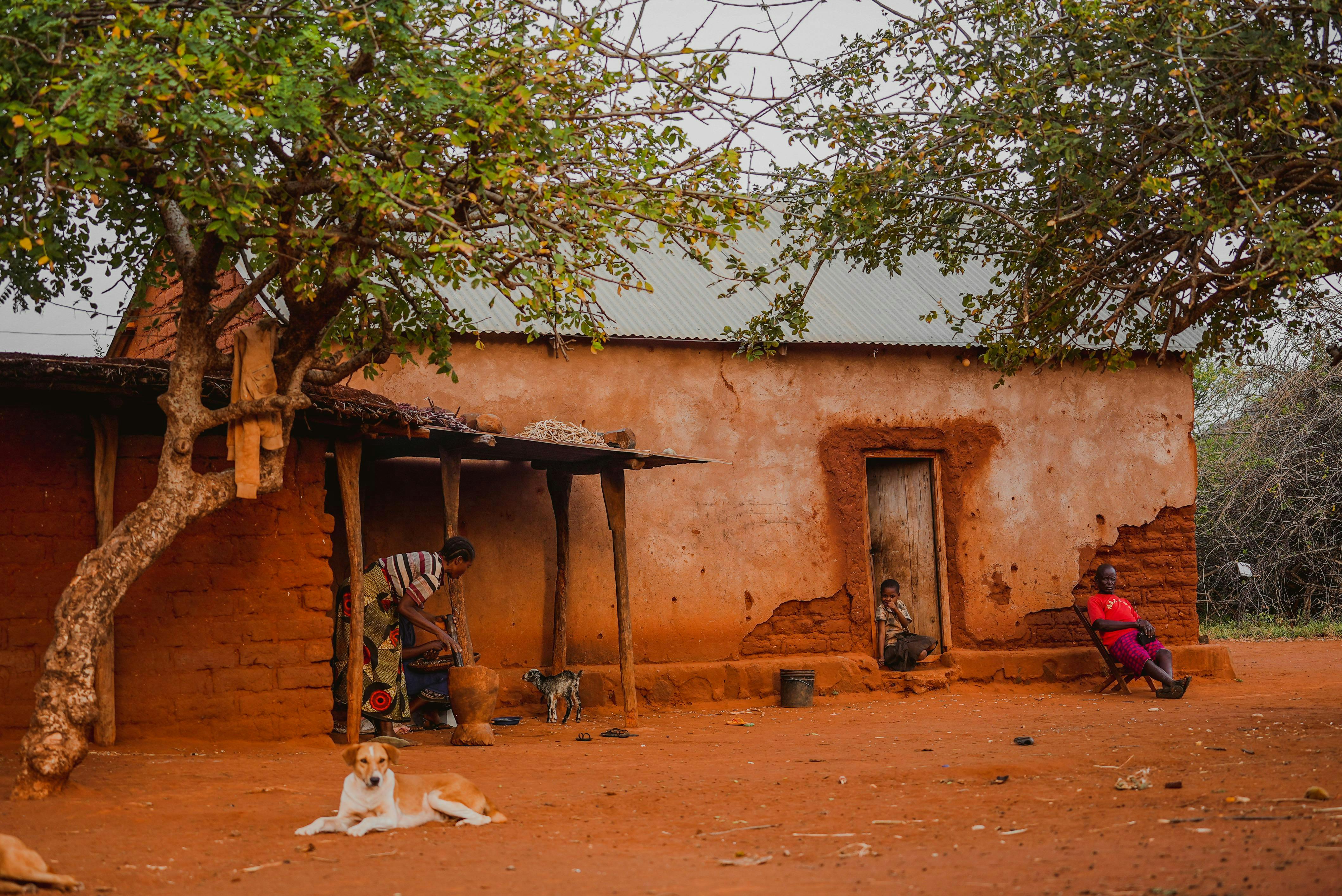 Spy X Family Anime Wallpaper Photos, Download The BEST Free Spy X