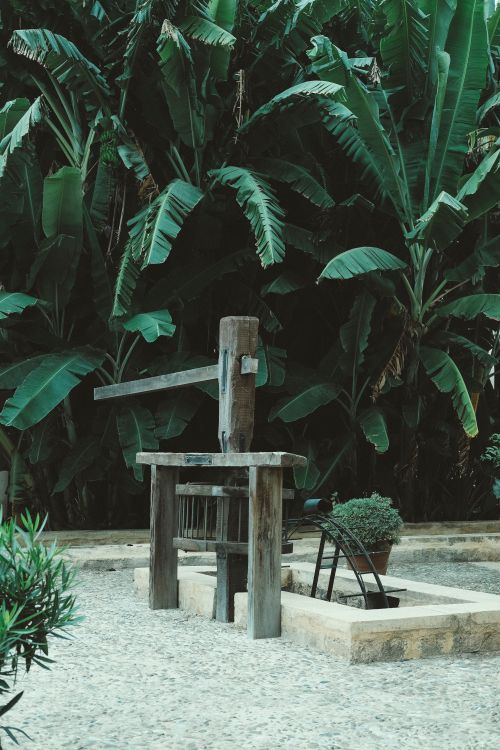 Free Old rustic well surrounded by lush banana plants, creating a tropical atmosphere. Stock Photo
