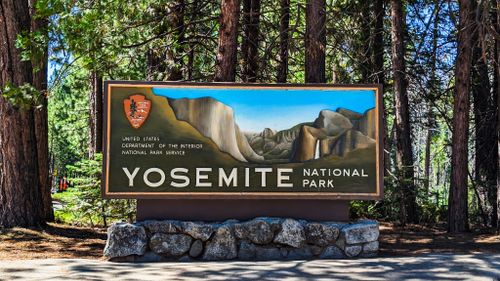 Free Yosemite National Park entrance sign set against a backdrop of towering trees. Stock Photo