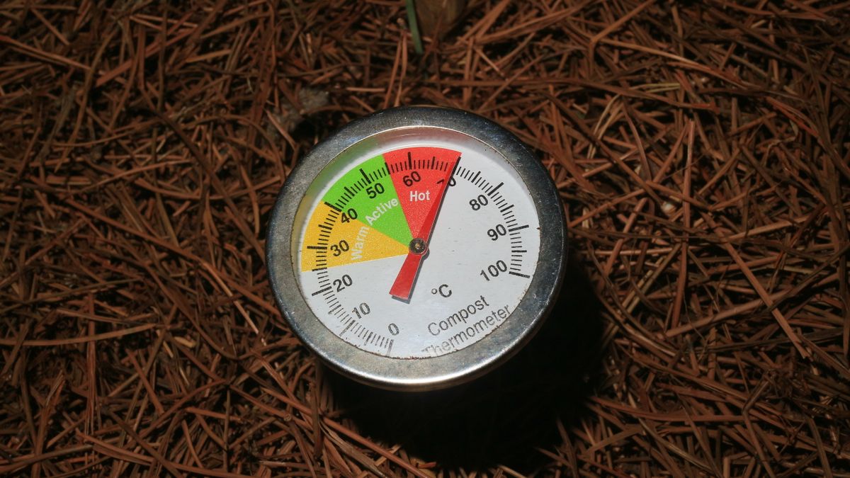 Compost en été : accélérer la décomposition quand il fait chaud sans laisser le tas se dessécher