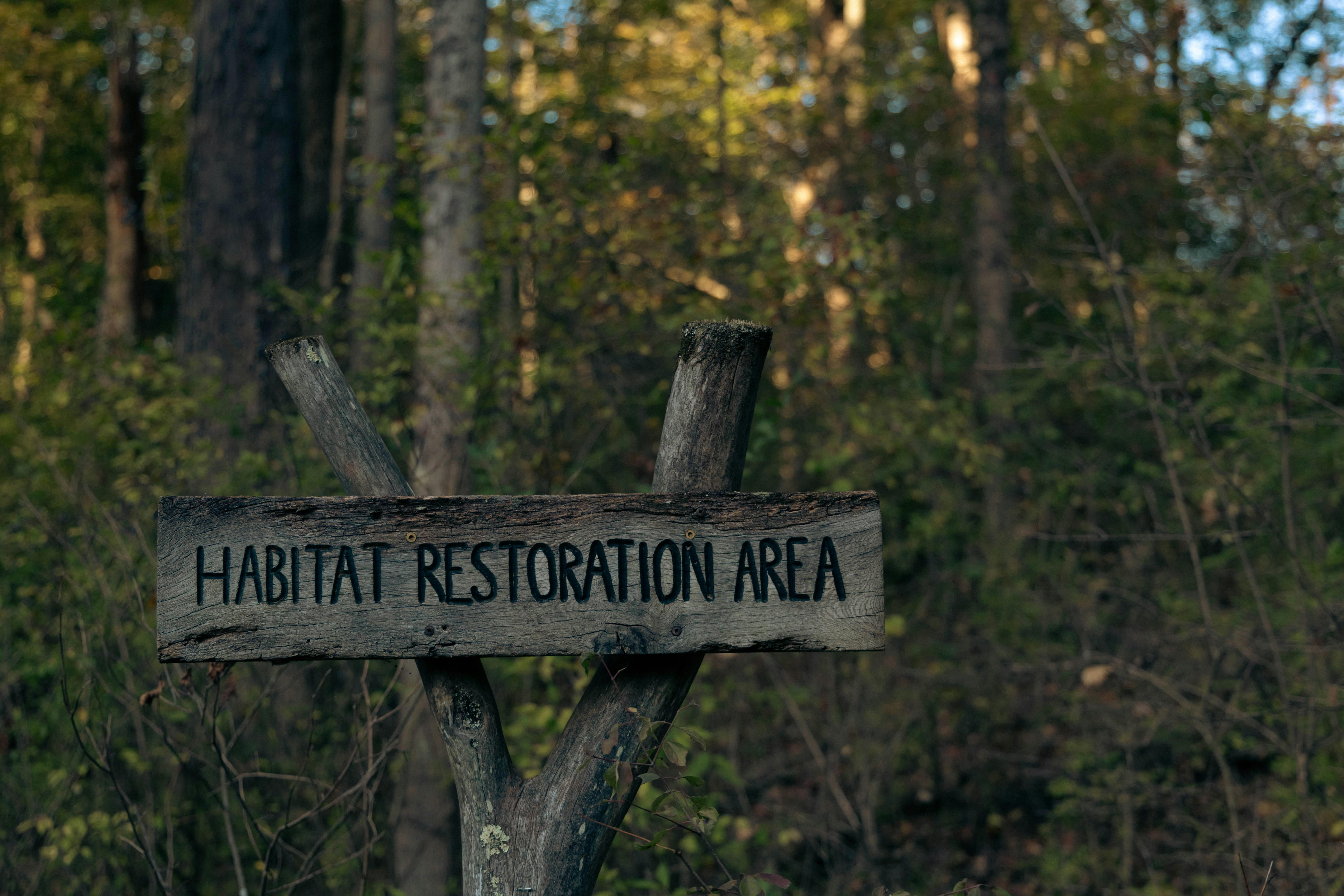 Habitat Restoration Area Sign in Forest · Free Stock Photo