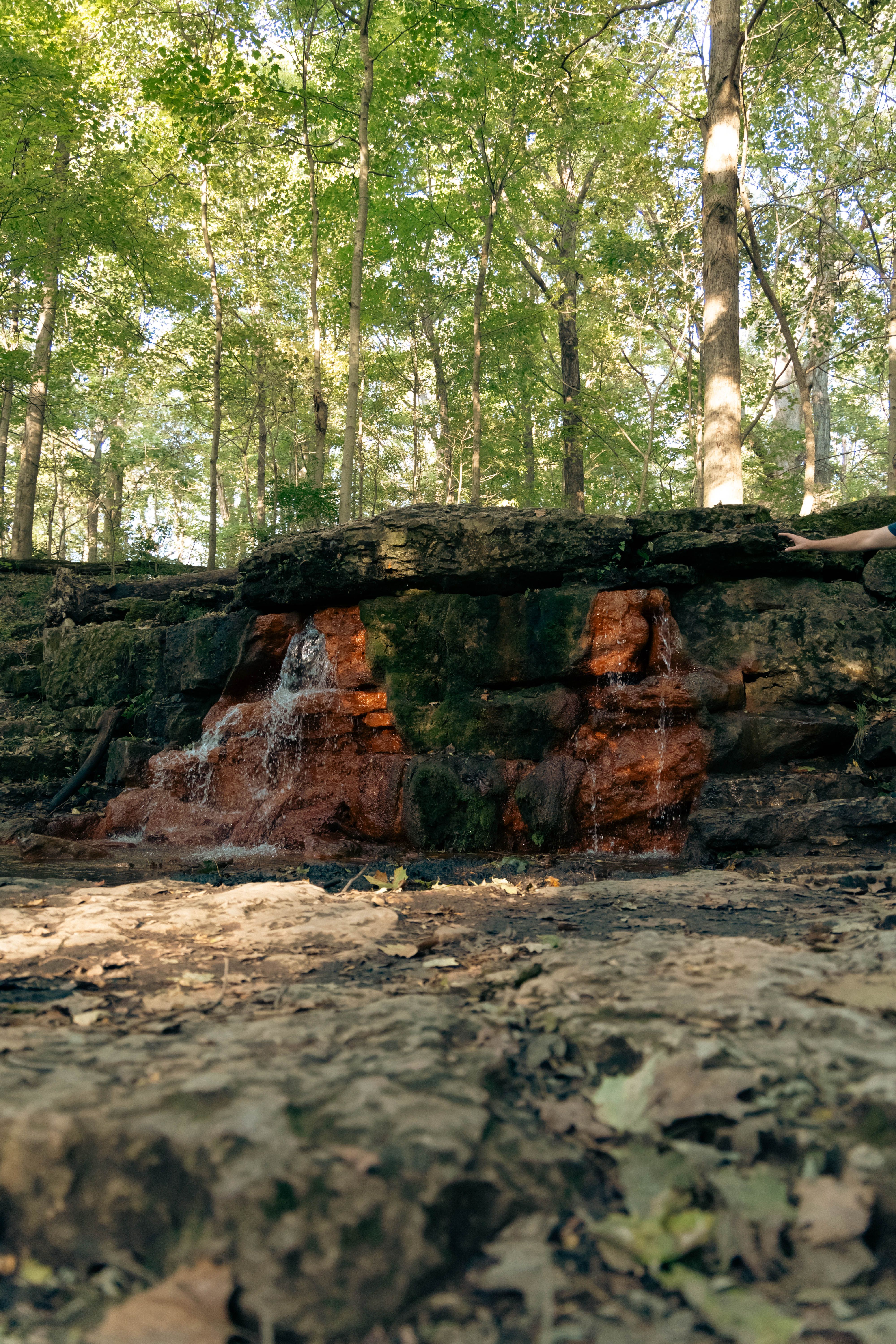 Peaceful scene of a small waterfall in a lush green forest with natural rock formations.